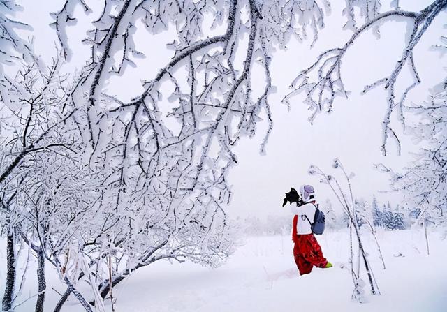 超级寒潮袭击北美洲，美国加拿大几乎为冰雪覆盖，全球变暖是肇因 