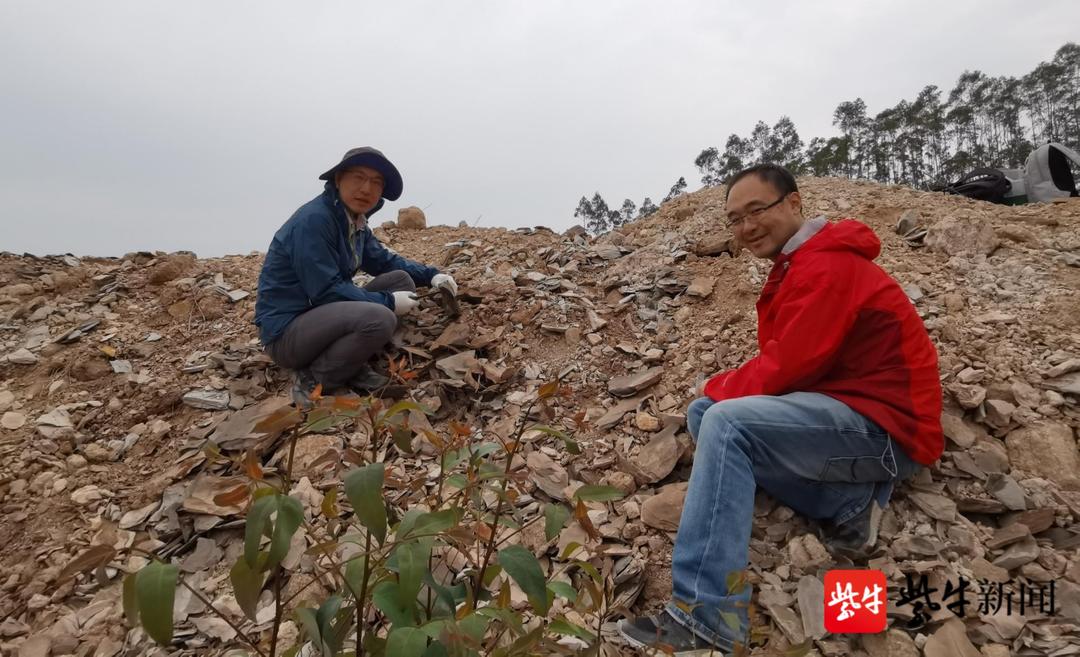 “十年磨一剑”的大发现！南京古生物所专家“采集”了一个热带季雨林化石库