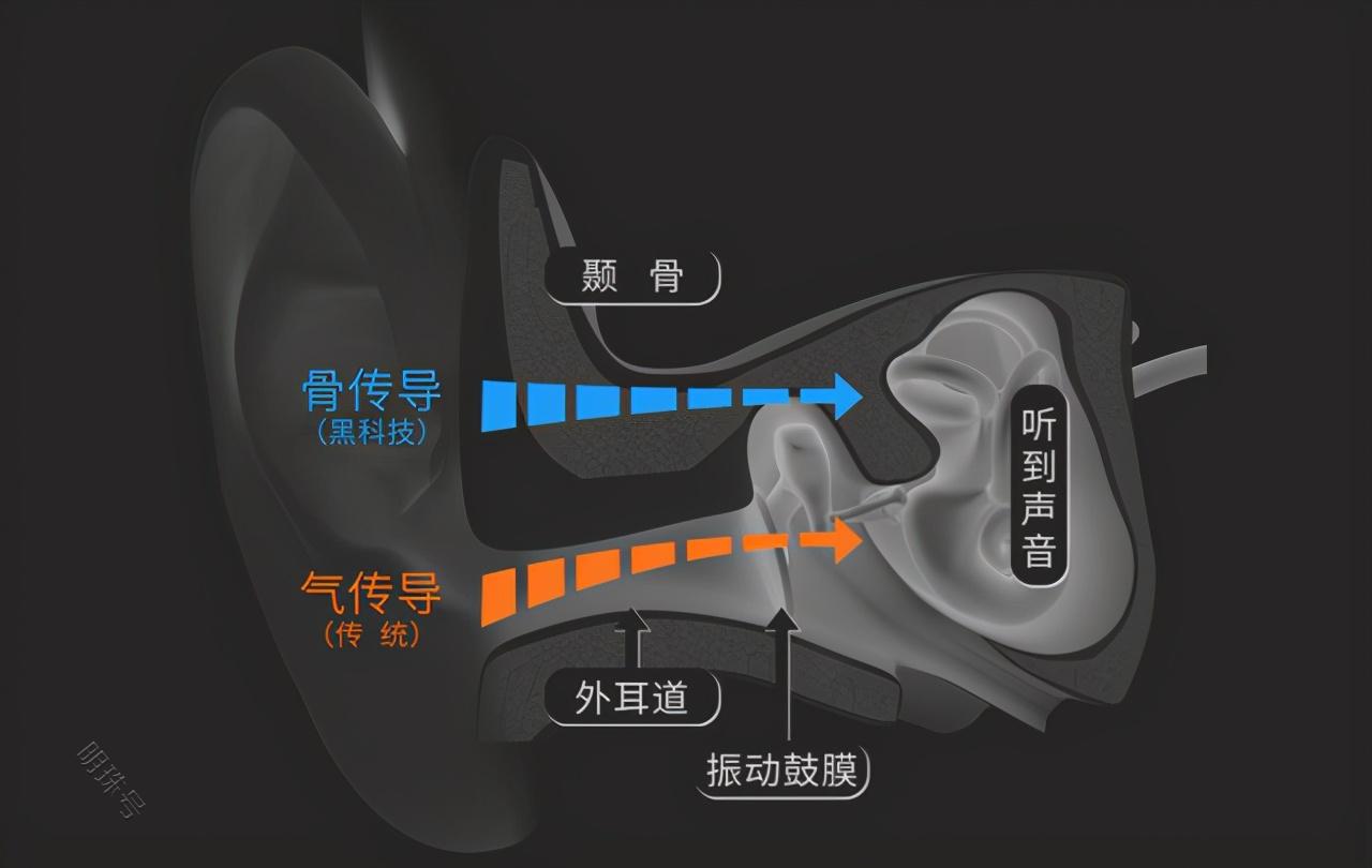 598元入手韶音as660骨传导耳机上手实测