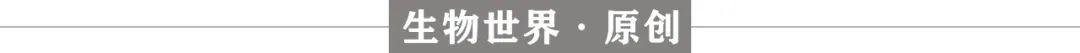 结合PROTAC和分子胶，清华大学饶燏团队开发双重蛋白降解剂