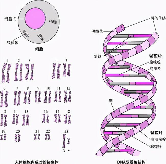 外星人之子？卢旺达婴儿头部呈三角形，形状怪异，真的是地球人？