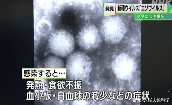 日本发现新型病毒，已有多人感染，会不会出现人传人的情况？