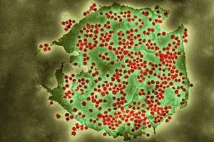 英国新增Omicron病例22例，不封城不封校，圣诞聚会不取消，戴口罩即可