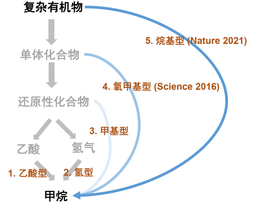 我国科学家找到控制鱼刺的基因；美国首个新冠口服药获批丨科技早新闻