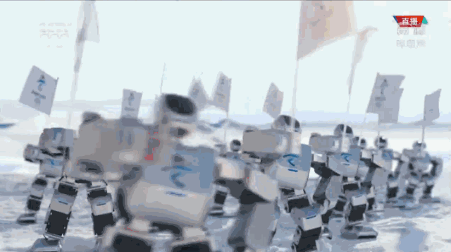 龙华“机器人选手”亮相冬奥冰壶赛场！