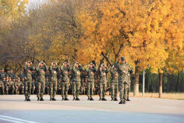 高清大图带你走进武警天津总队新兵团，邂逅最美秋天