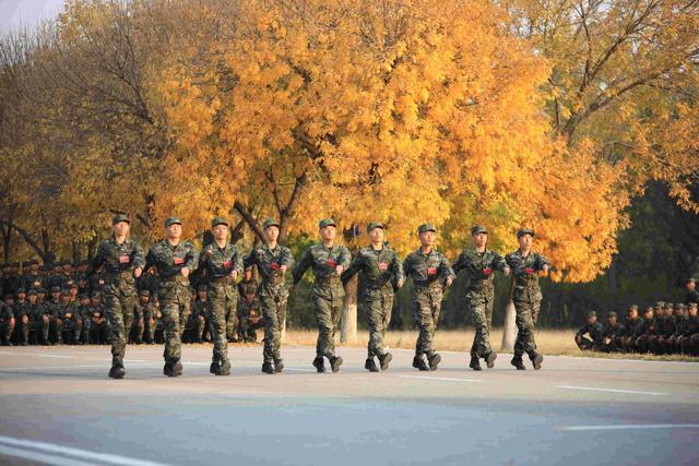 高清大图带你走进武警天津总队新兵团，邂逅最美秋天