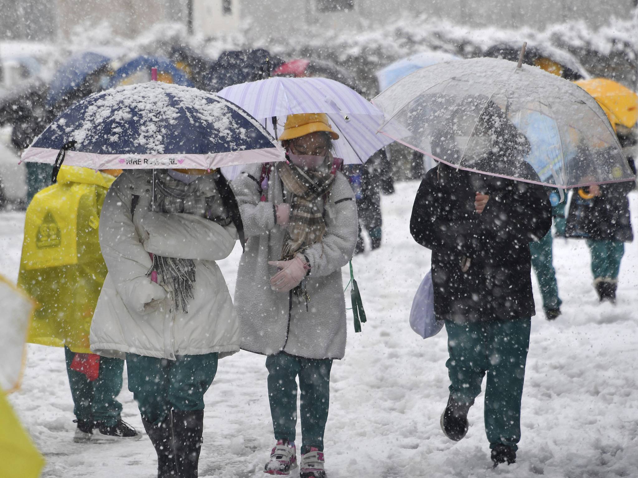 1月全球气候资讯追踪：欧洲冬季反常高温、沙特遭遇暴雨洪水