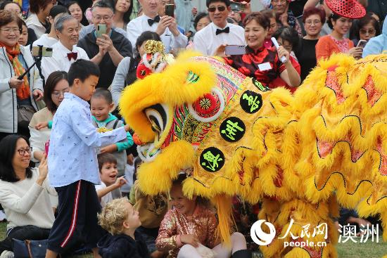 悉尼希尔斯郡地区举办元宵节庆典 张灯结彩庆龙年