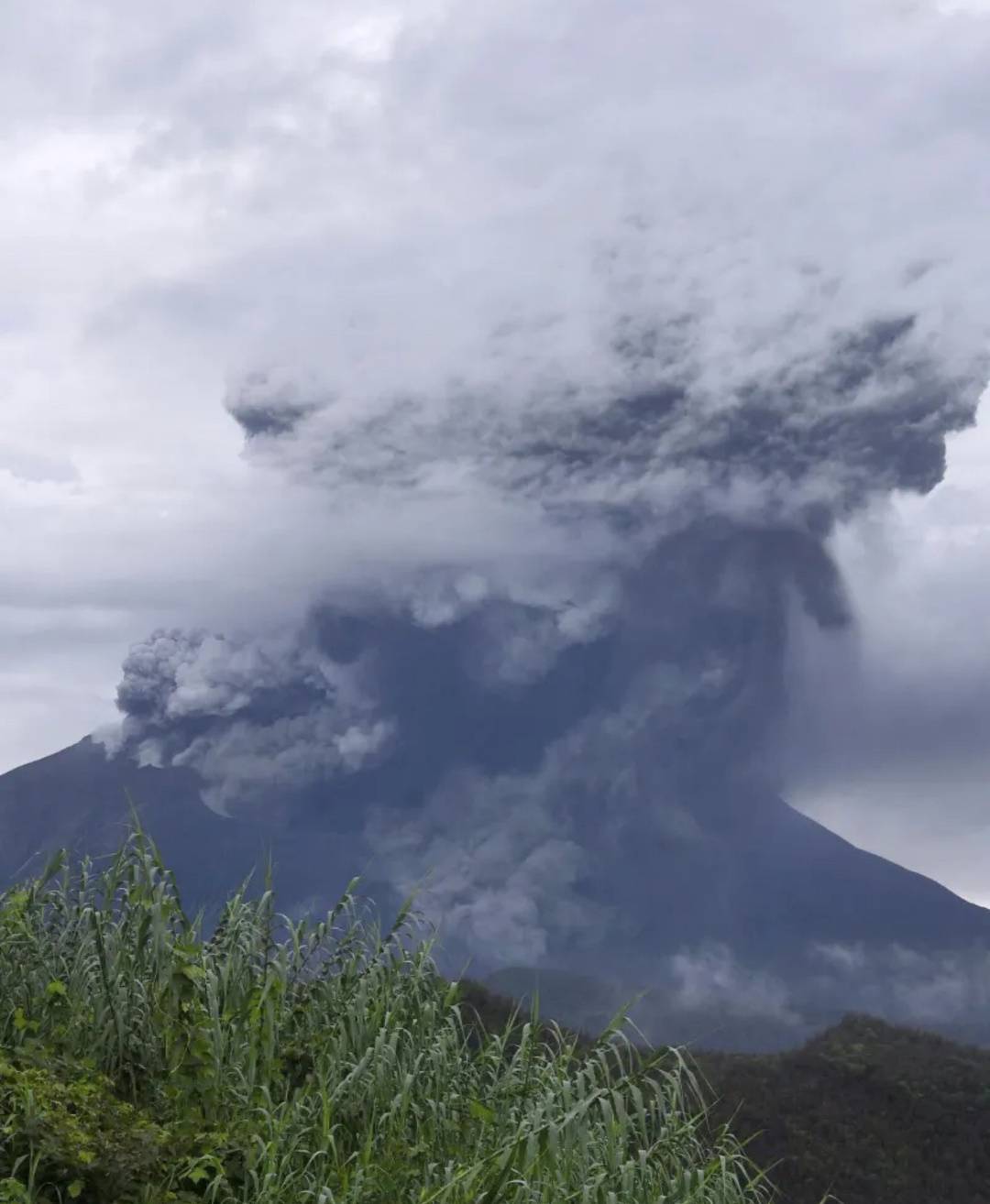 日本樱岛火山喷发 火山灰柱达4500米